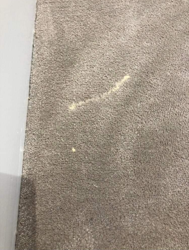 Edinburgh Carpet Cleaning