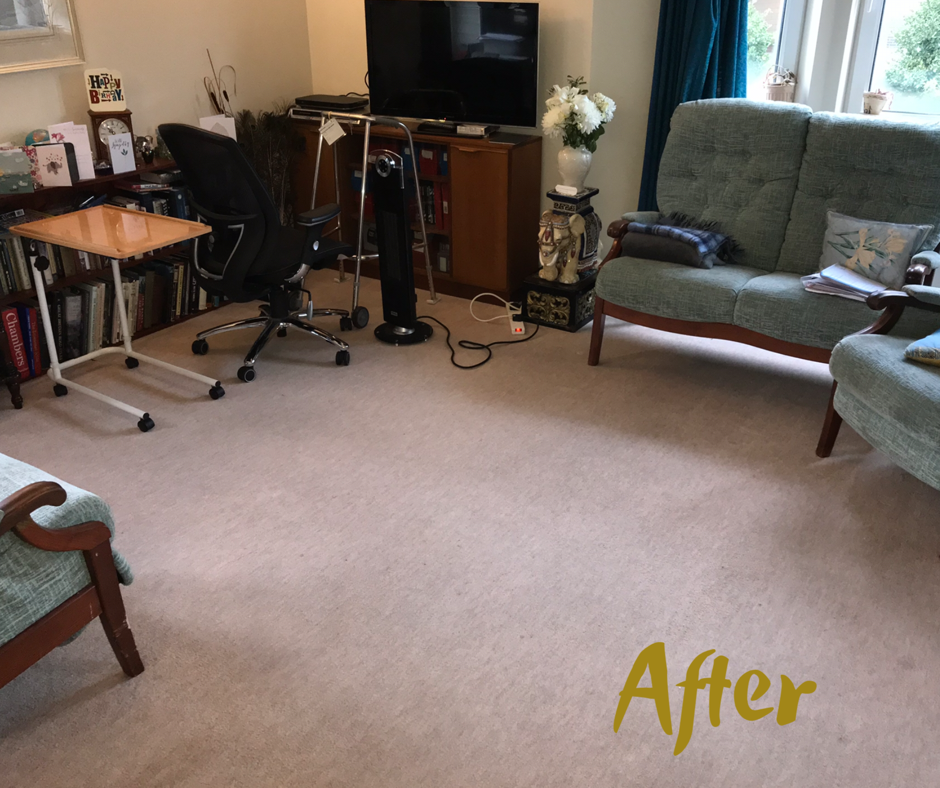 Edinburgh Carpet Cleaning