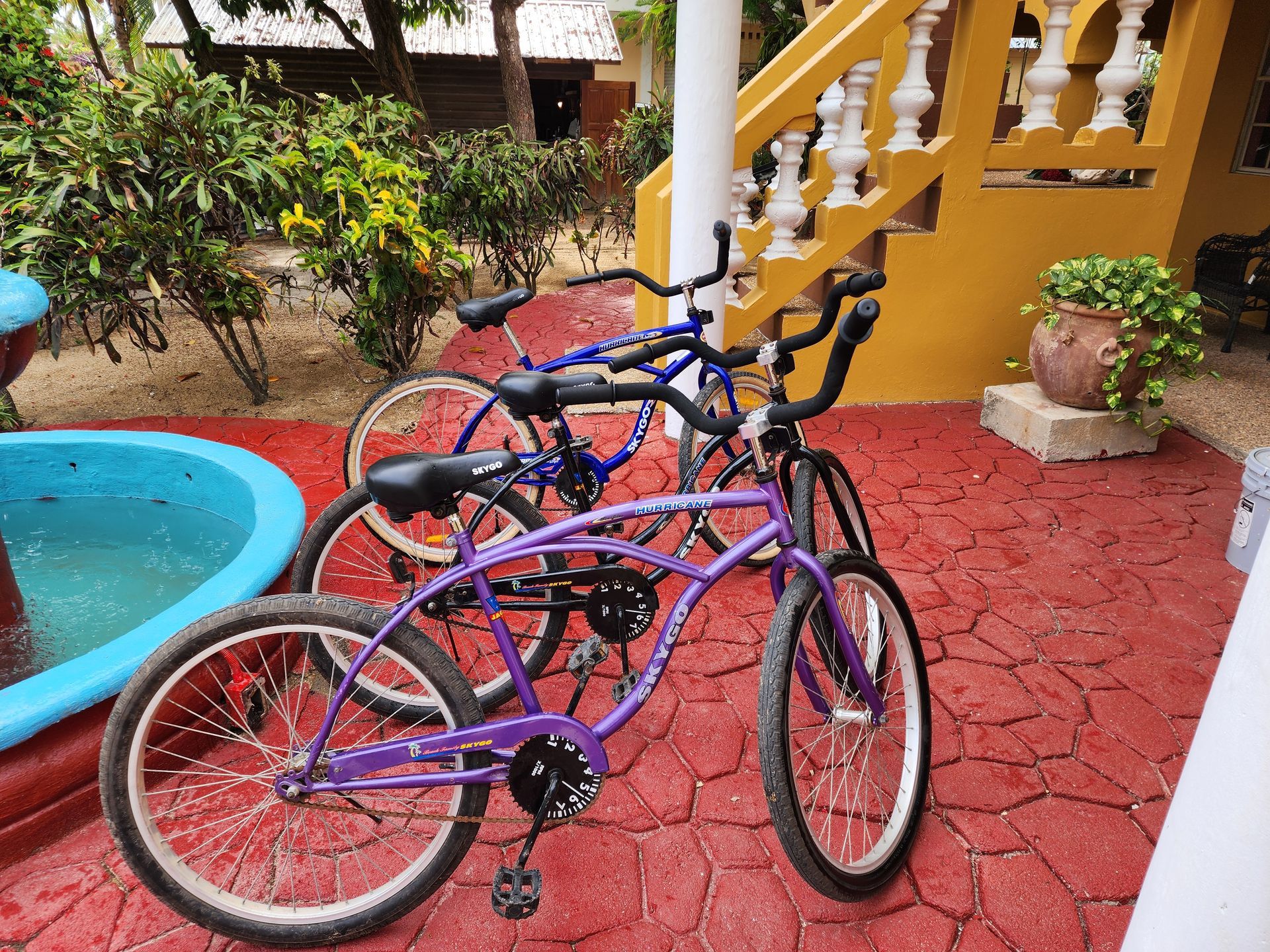 complementary Bikes at Caribbean Shores Bed and Breakfast, Hopkins Village