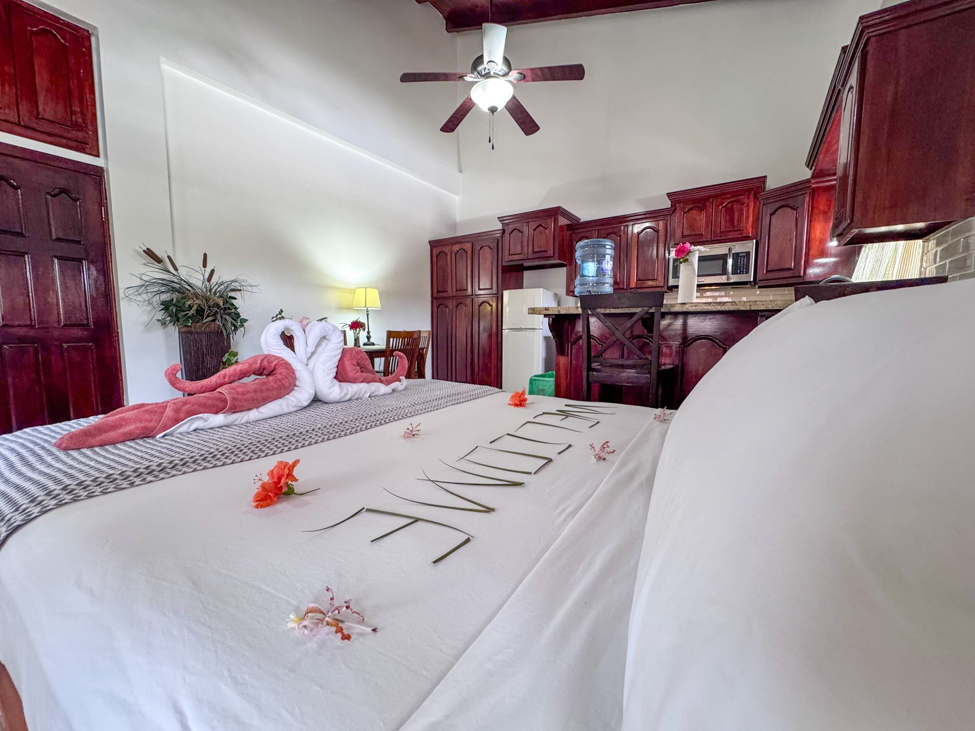 Studio apartment in Hopkins Village featuring a comfortable queen-size bed at Caribbean Shores Bed & Breakfast.