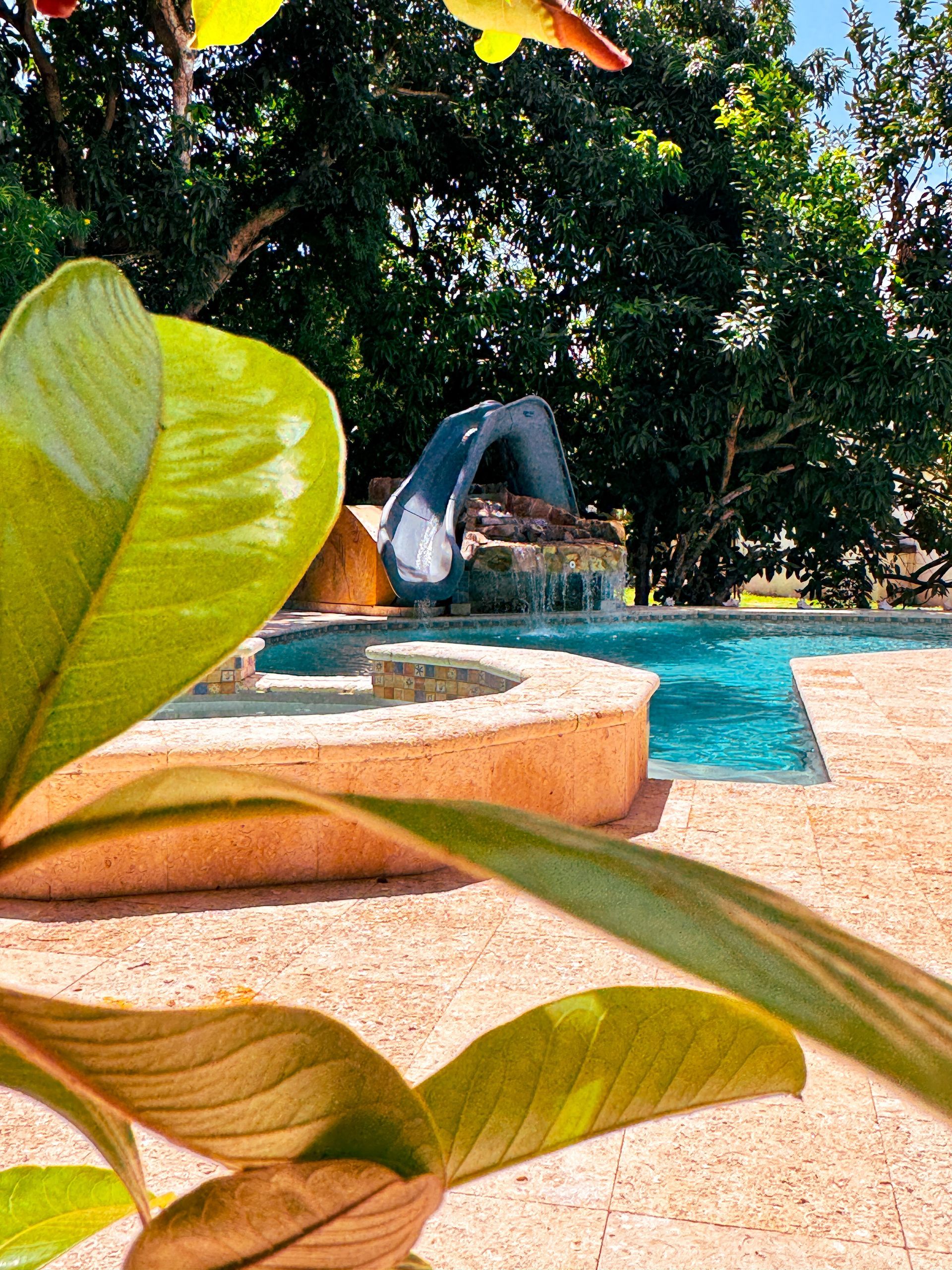 Outdoor swimming pool at Caribbean Shores B&B in Hopkins Village surrounded by tropical gardens.