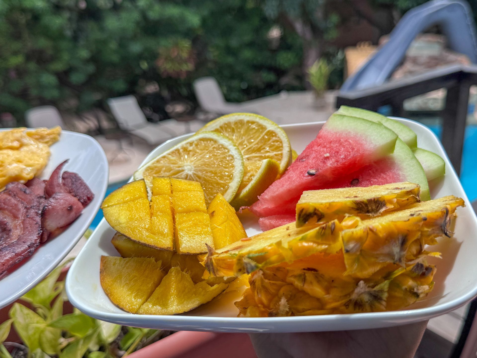 Accommodation with breakfast included in Hopkins Village
