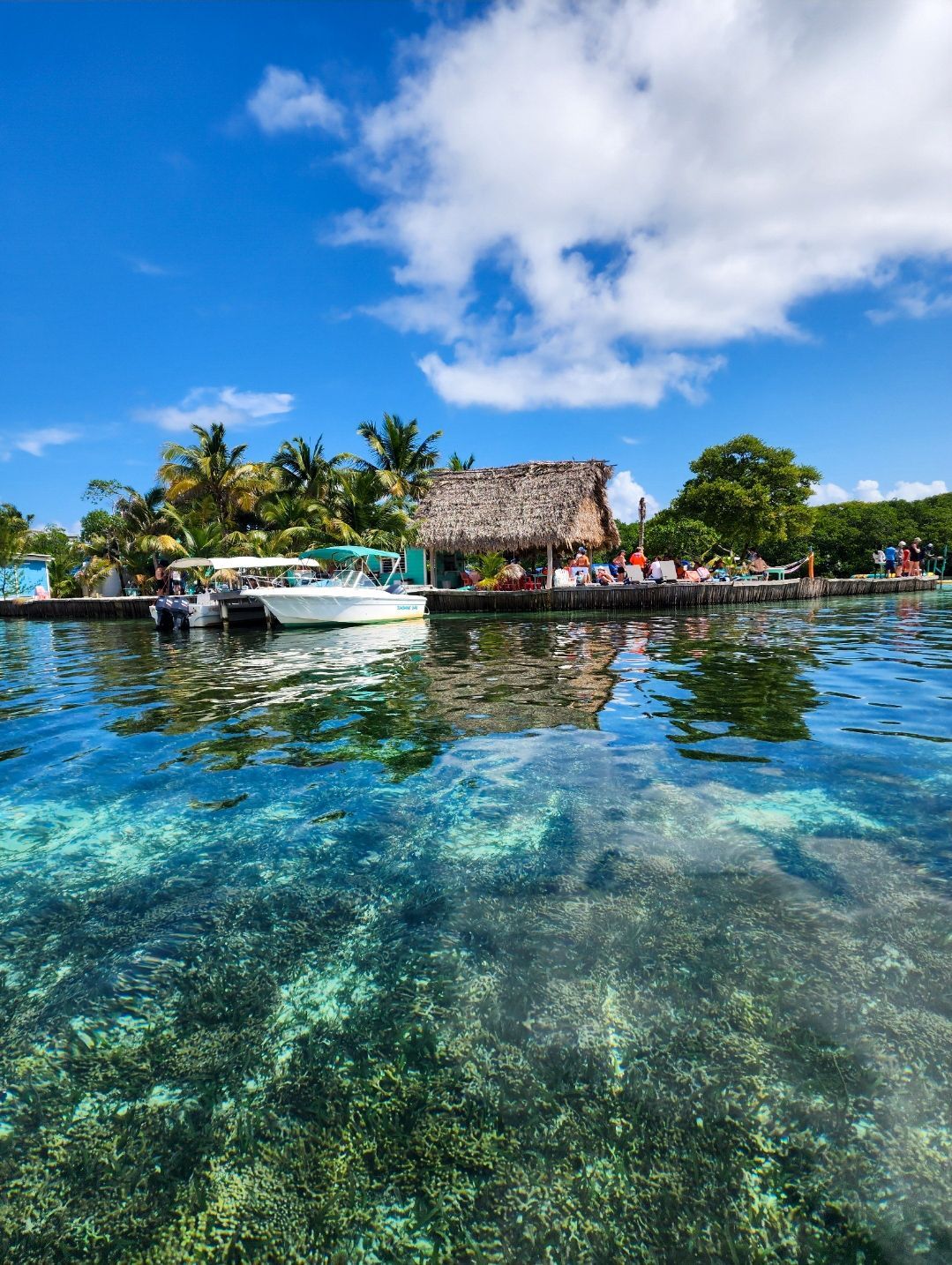 Bread and Butter Island Belize, Cook your catch tour from Hopkins Village