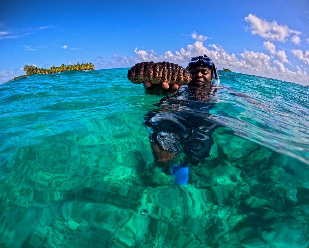 a man snorkeling, best snorkeling tour at the Barrier reef from Hopkins Village, belize 