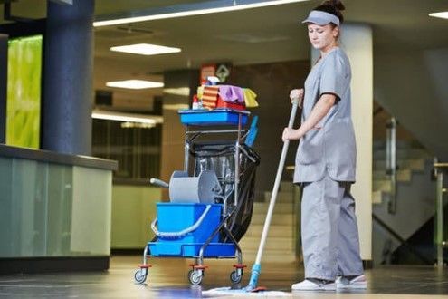 Cleaning Lady