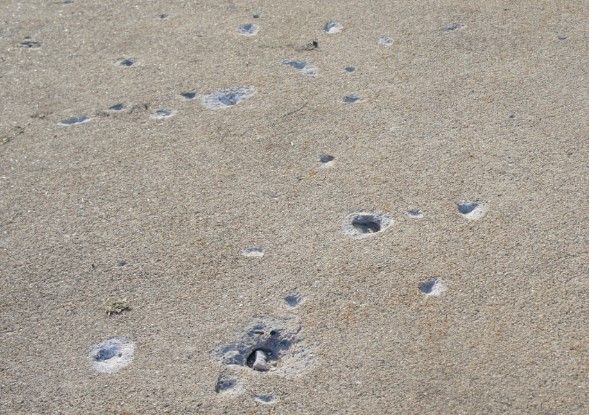 Concrete Damage