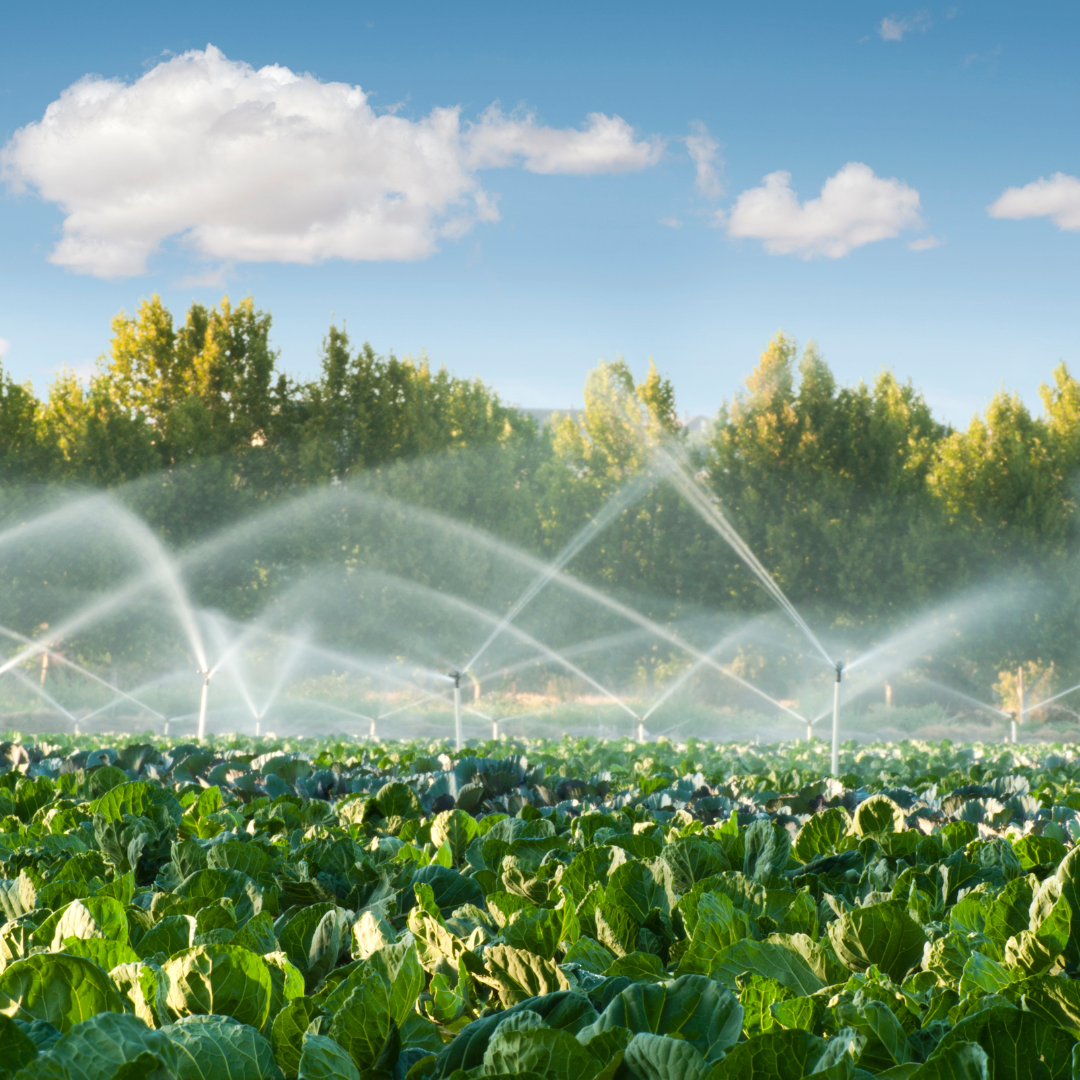 Green Product Systems