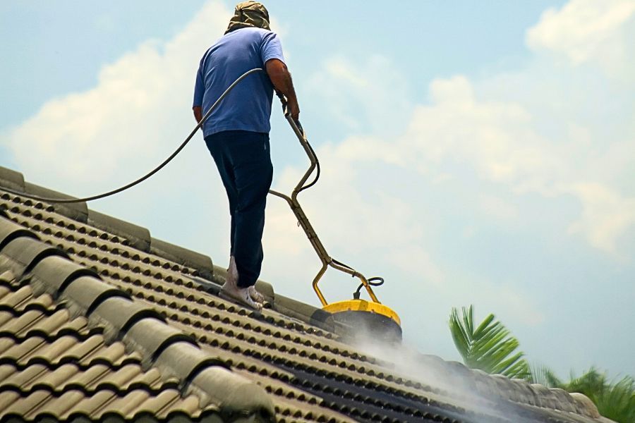 surface cleaner for roof