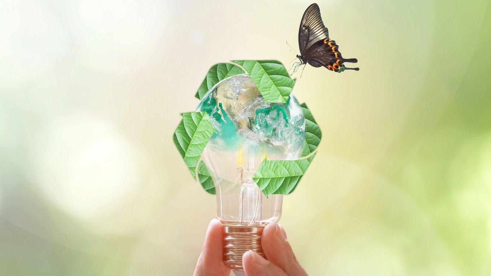 Environmental Initiatives