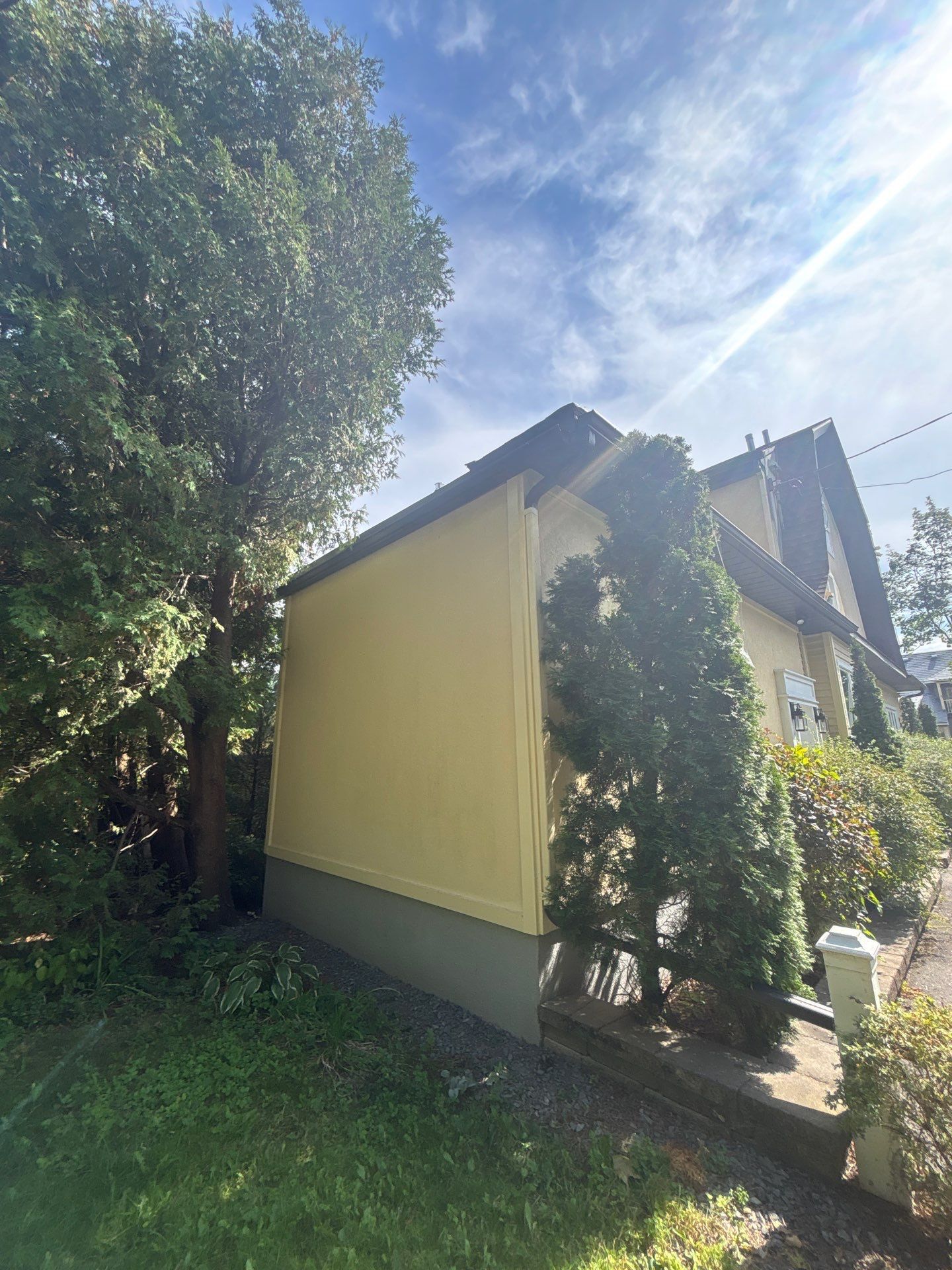 Maison jaune à côté d'un arbre feuillu baigné de soleil, avec un ciel bleu et un jardin verdoyant.