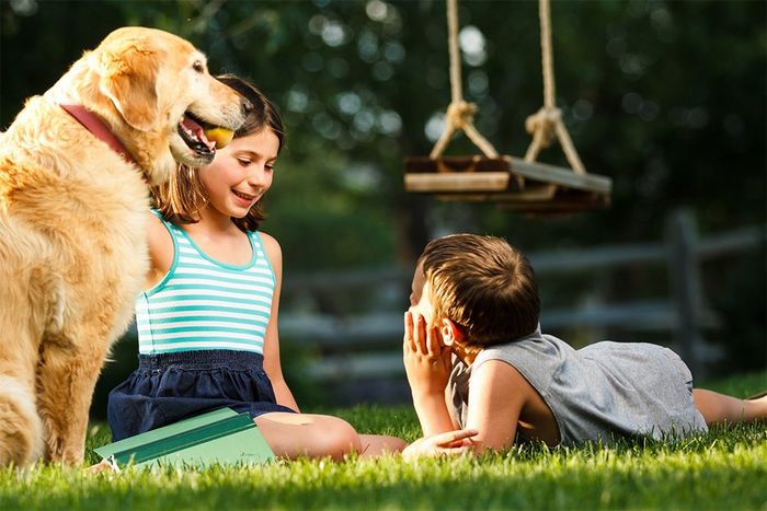 Brother and Sister in a Backyard with a Dog | Tomah, WI | Mosquito Bros
