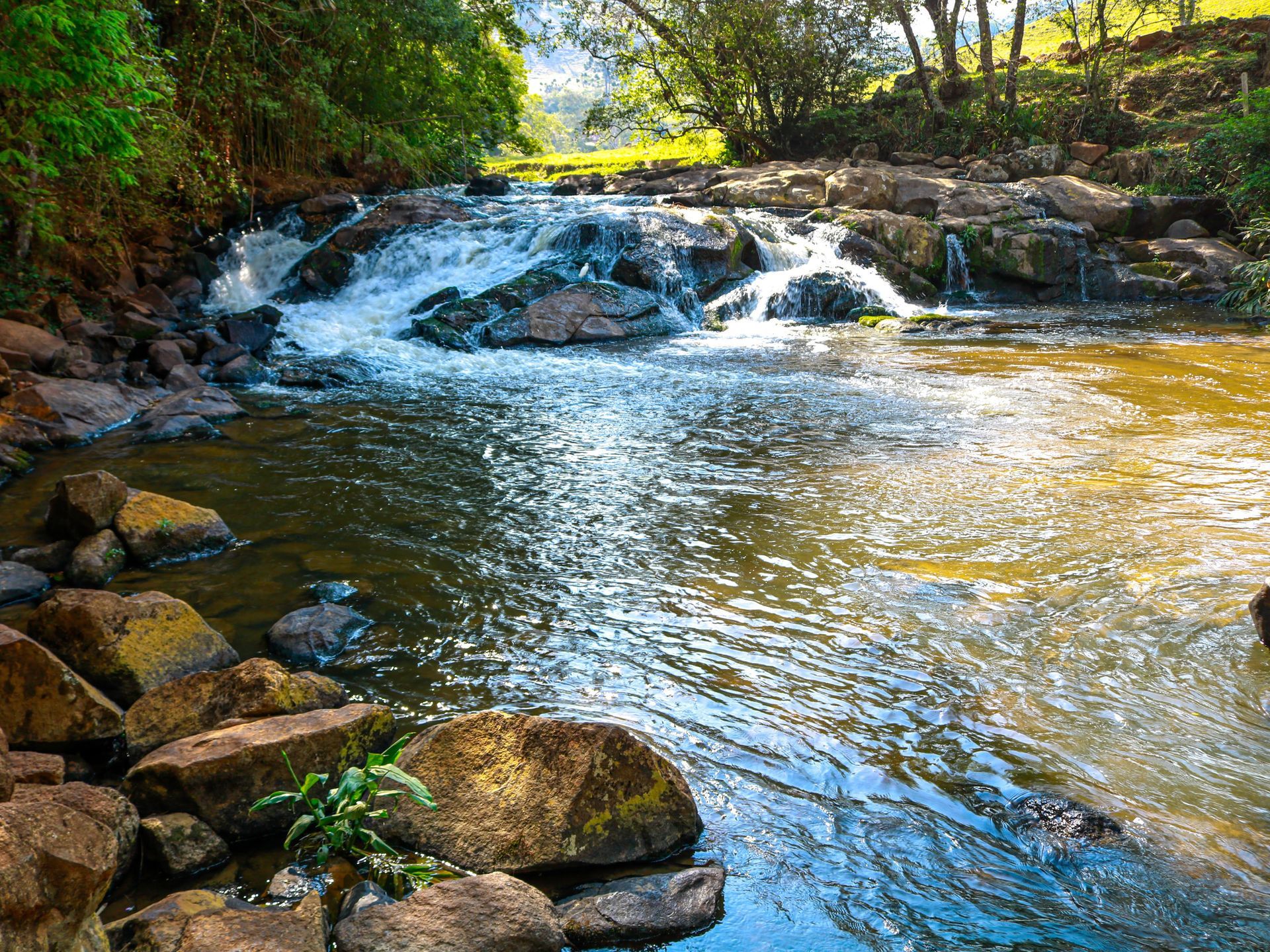 Rio raso com pequena cachoeira, pedras e árvores banhadas de sol ao longo da margem.