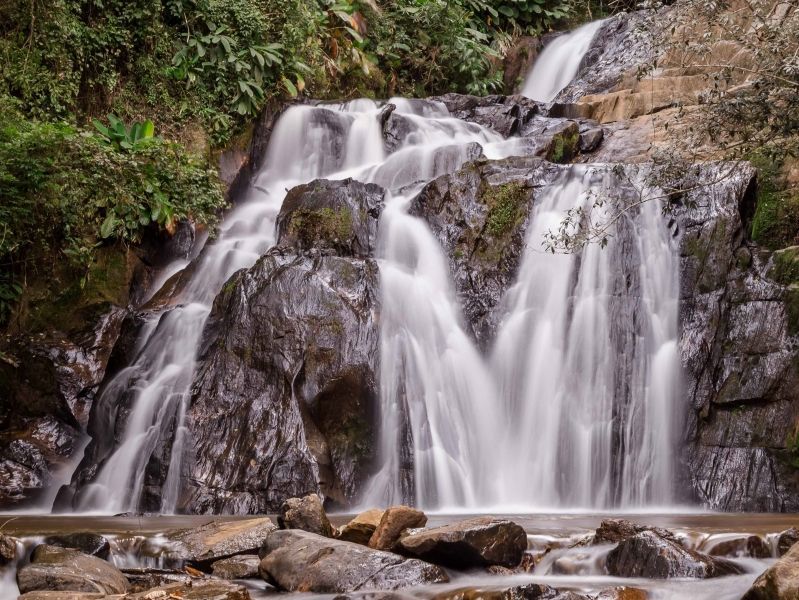 Pequena cachoeira despencando sobre rochas cobertas de musgo em um riacho na floresta.