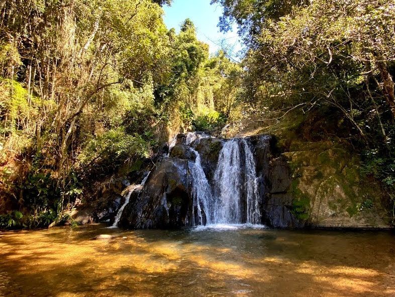 Pequena cachoeira que deságua em uma piscina tranquila em uma clareira ensolarada na floresta.