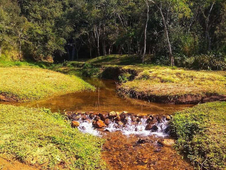 Pequeno riacho com uma minúscula cachoeira que atravessa uma paisagem gramada e arborizada.