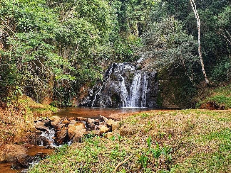 Pequena cachoeira que deságua em um riacho na floresta, cercada por vegetação verdejante e rochas.