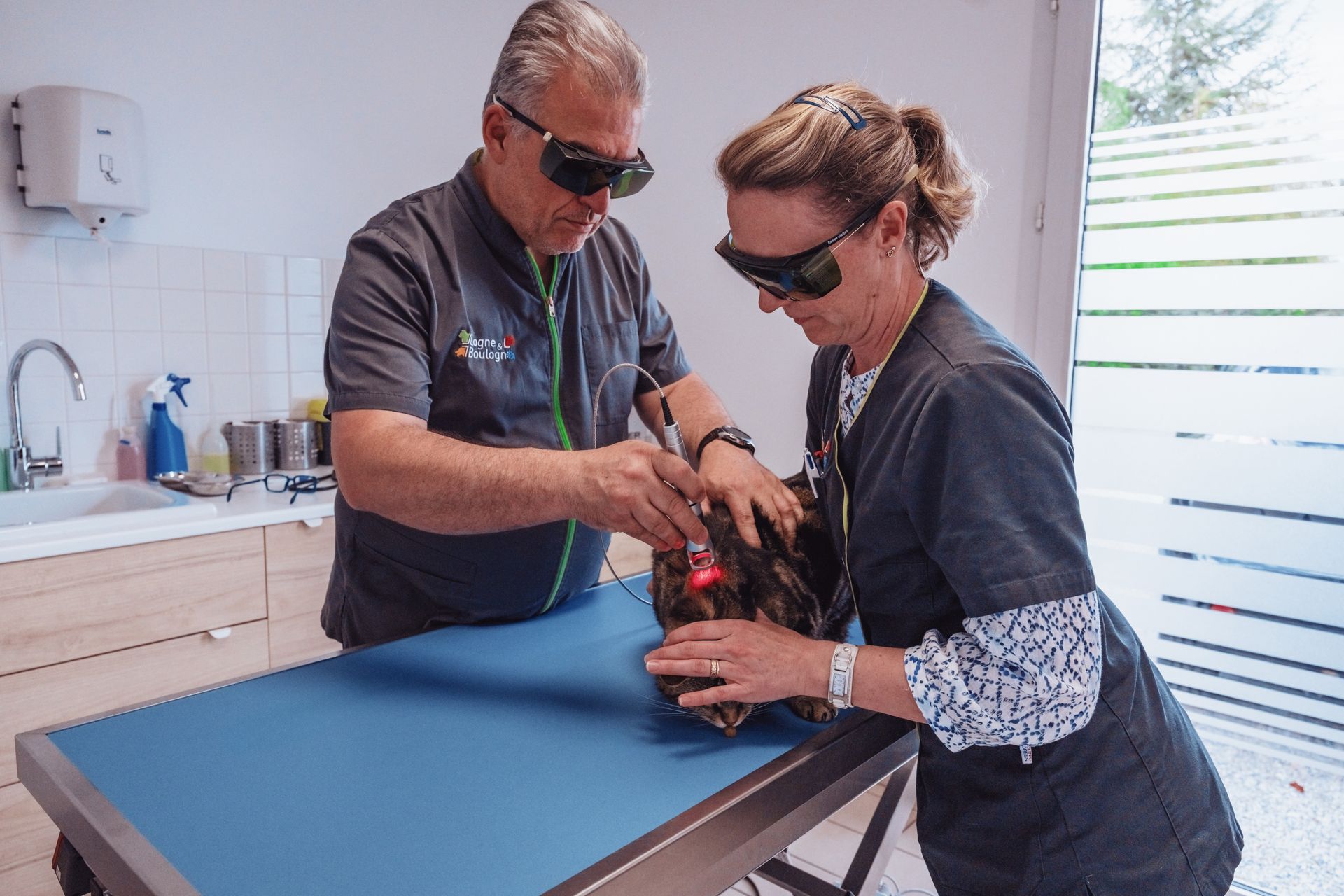 Dans une clinique vétérinaire, deux vétérinaires utilisent un laser sur un chat, tous deux portant des lunettes de protection.