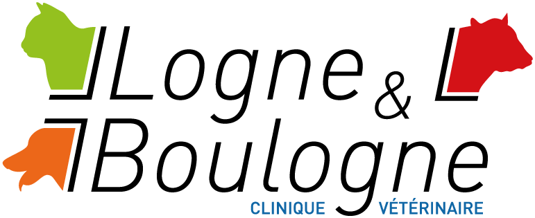 Logo de la clinique v&eacute;t&eacute;rinaire Logne & Boulogne, avec la silhouette d'un chat, d'un chien et d'une vache, respectivement en vert, orange et rouge.