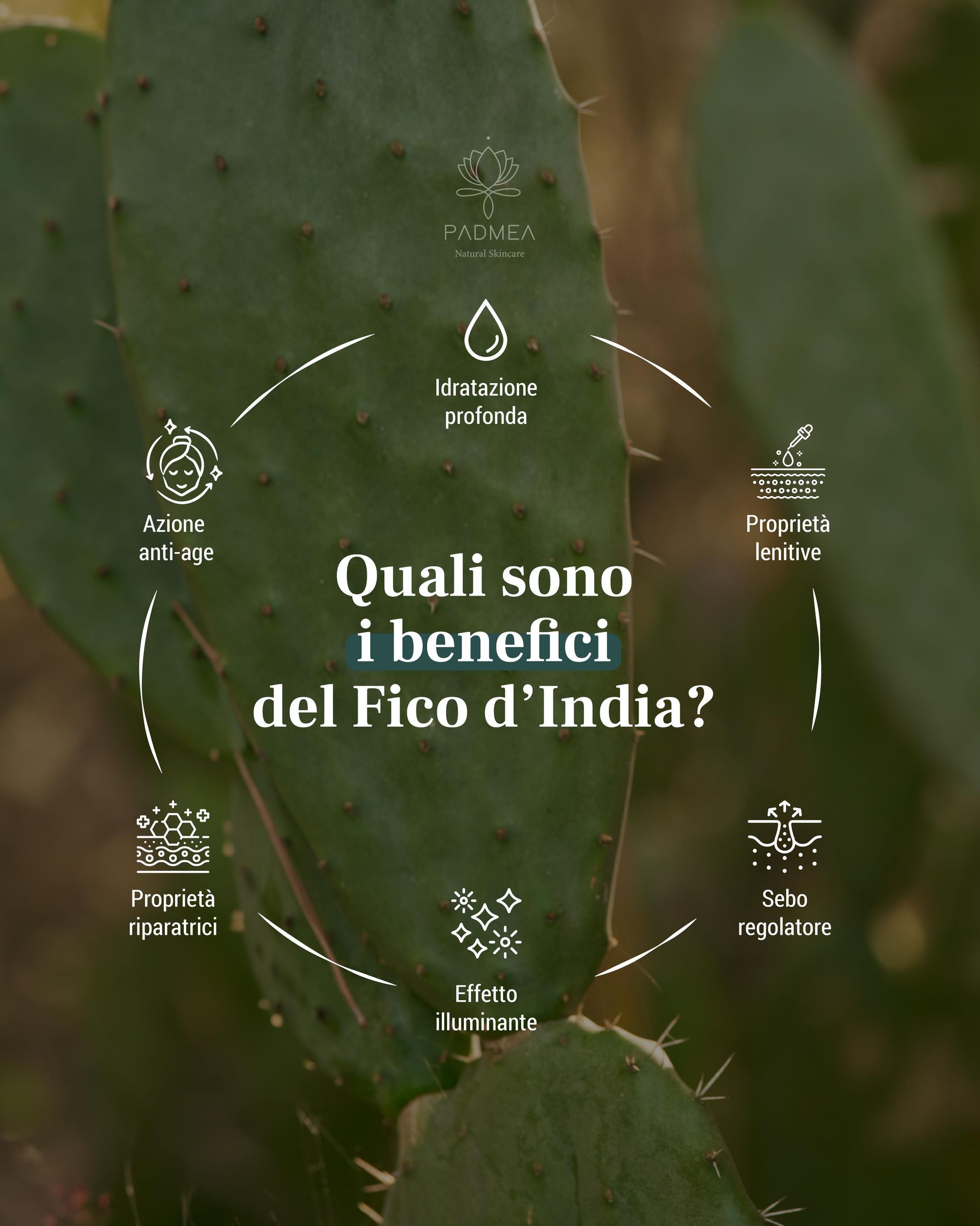 Idratazione per la pelle con Padmea