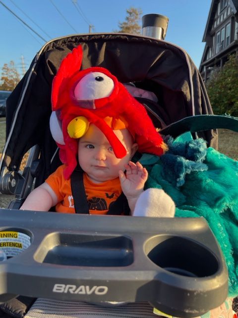 Baby in a stroller wearing a red plush hat, with a teal blanket outdoors in sunlight
