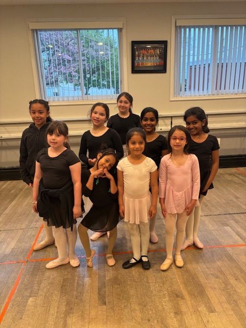 Nine children pose in ballet outfits in a dance studio, standing on a wooden floor.