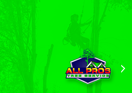 A man is cutting a tree with a chainsaw.