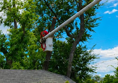 Utility worker in red gear trimming tree branches near a rooftop under a blue sky