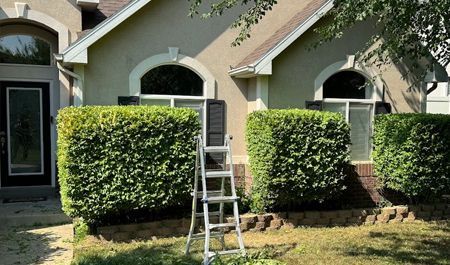 Ladder leaning against a hedge outside a beige house with arched windows and a front door