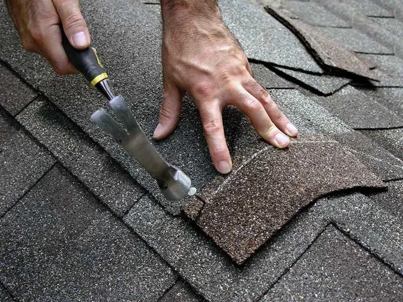 Ridge Cap Shingle Installation