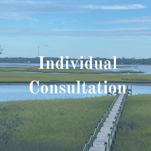 Pier over water and marsh, with text overlay: