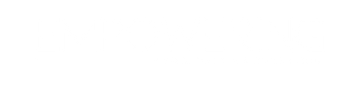 Blank white rectangle with a thin gray border at the top and bottom