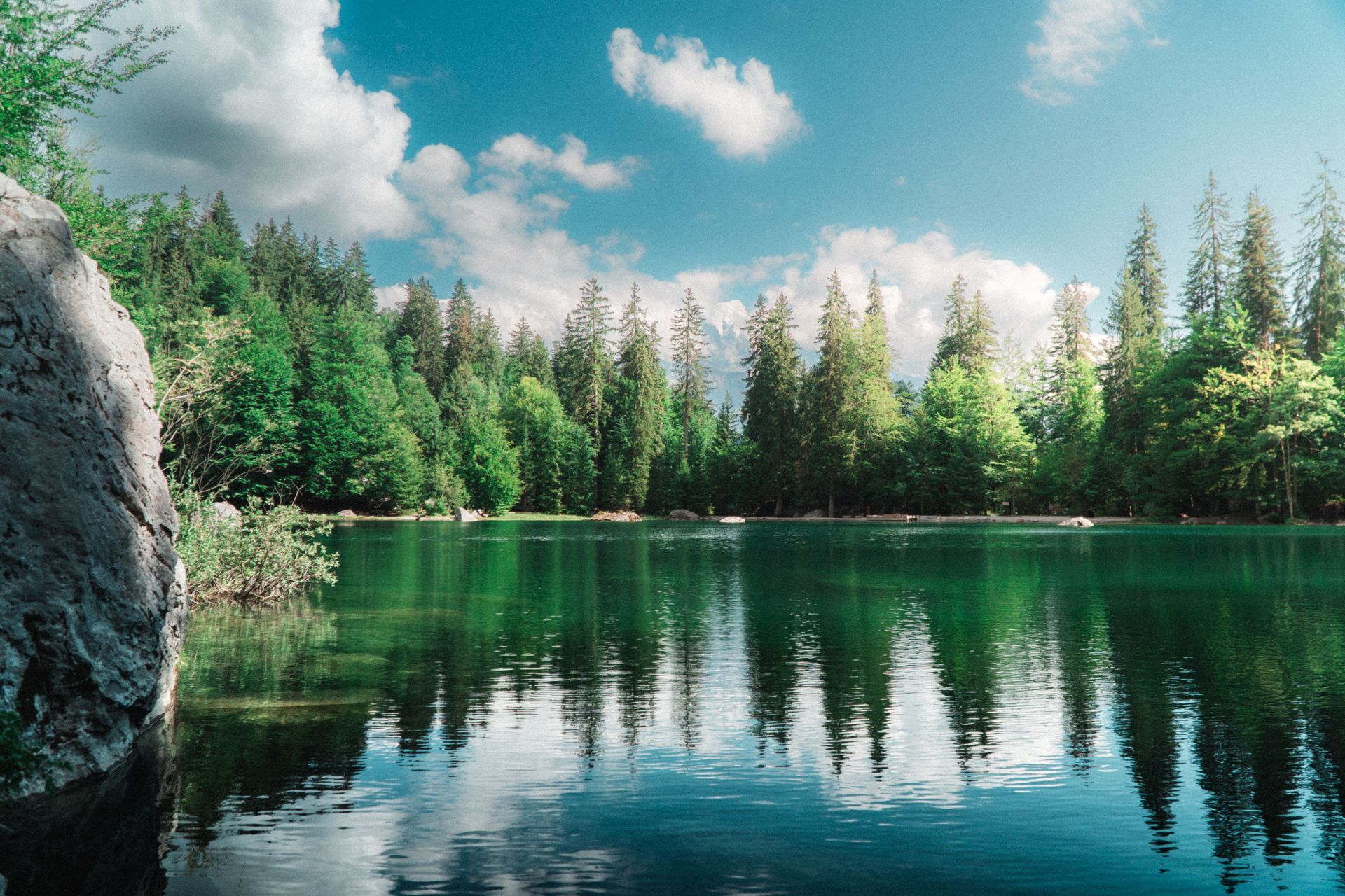 Lake with pine trees reflecting in calm water under a blue sky with clouds