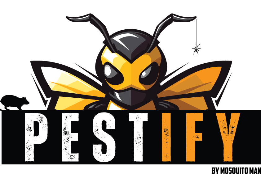 Pestify Pest Control Wasp