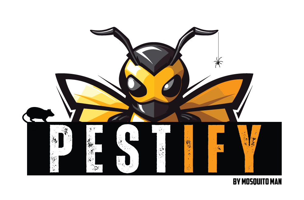 Pestify logo: A stylized wasp above the word