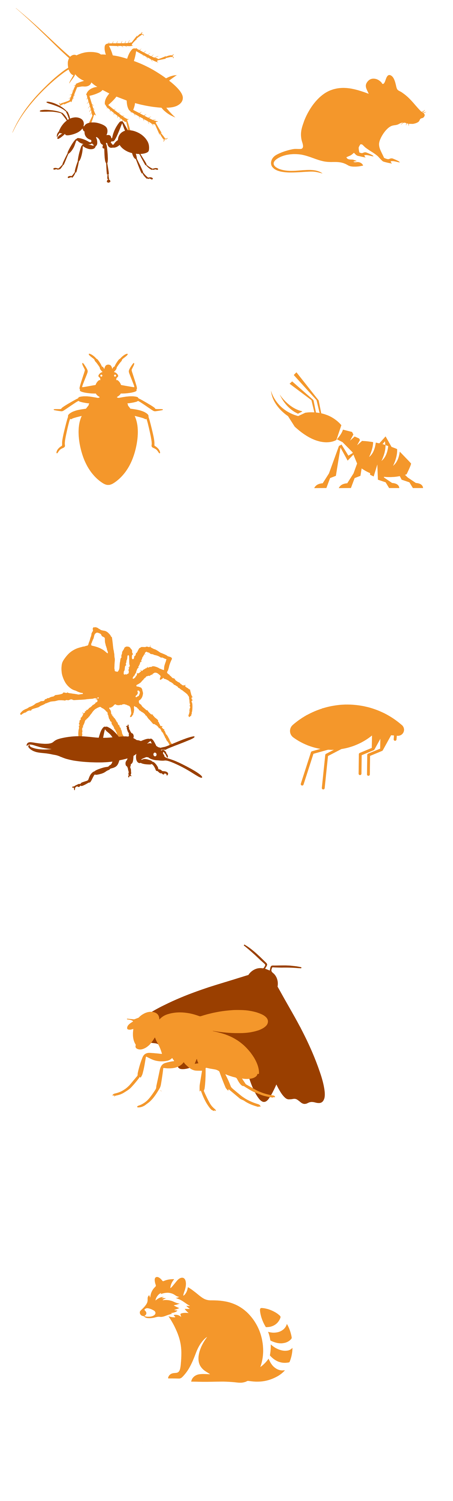 Pestify Pest Control Pest List