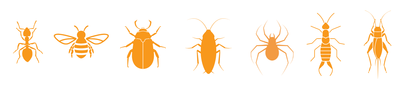 Pestify Pest Control Pest List