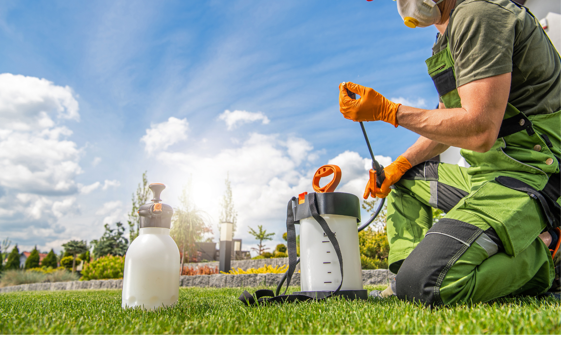 8 Common Pests in Suffolk County: How Pestify Pest Control Keeps Them at Bay
