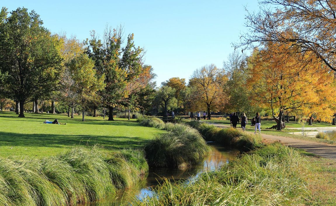 Sunny park with green grass, autumn trees, and a small stream under a clear blue sky