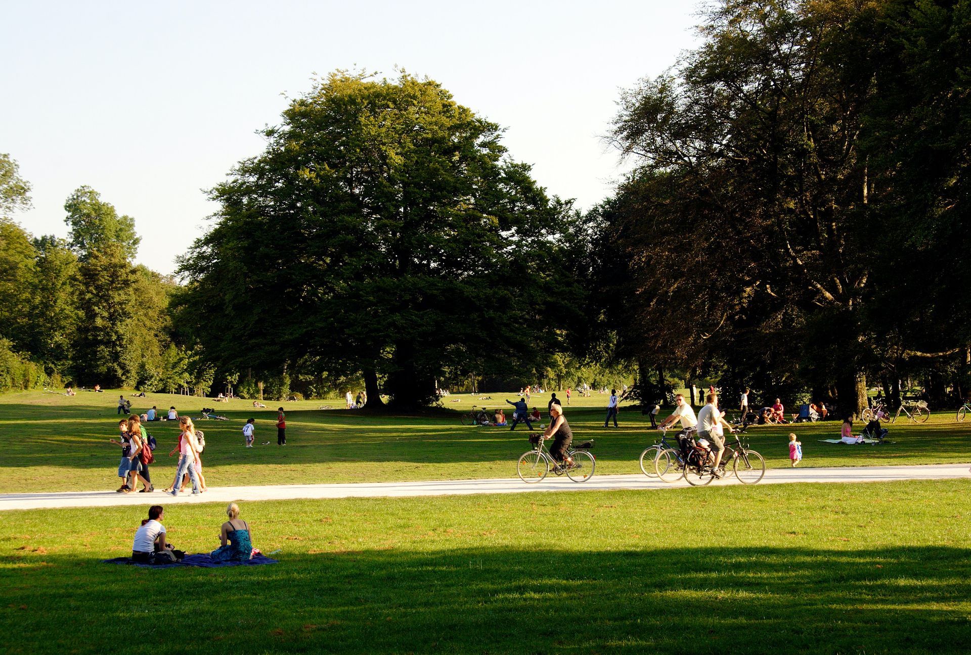 People walking and biking through a sunny park with large trees and green lawns.