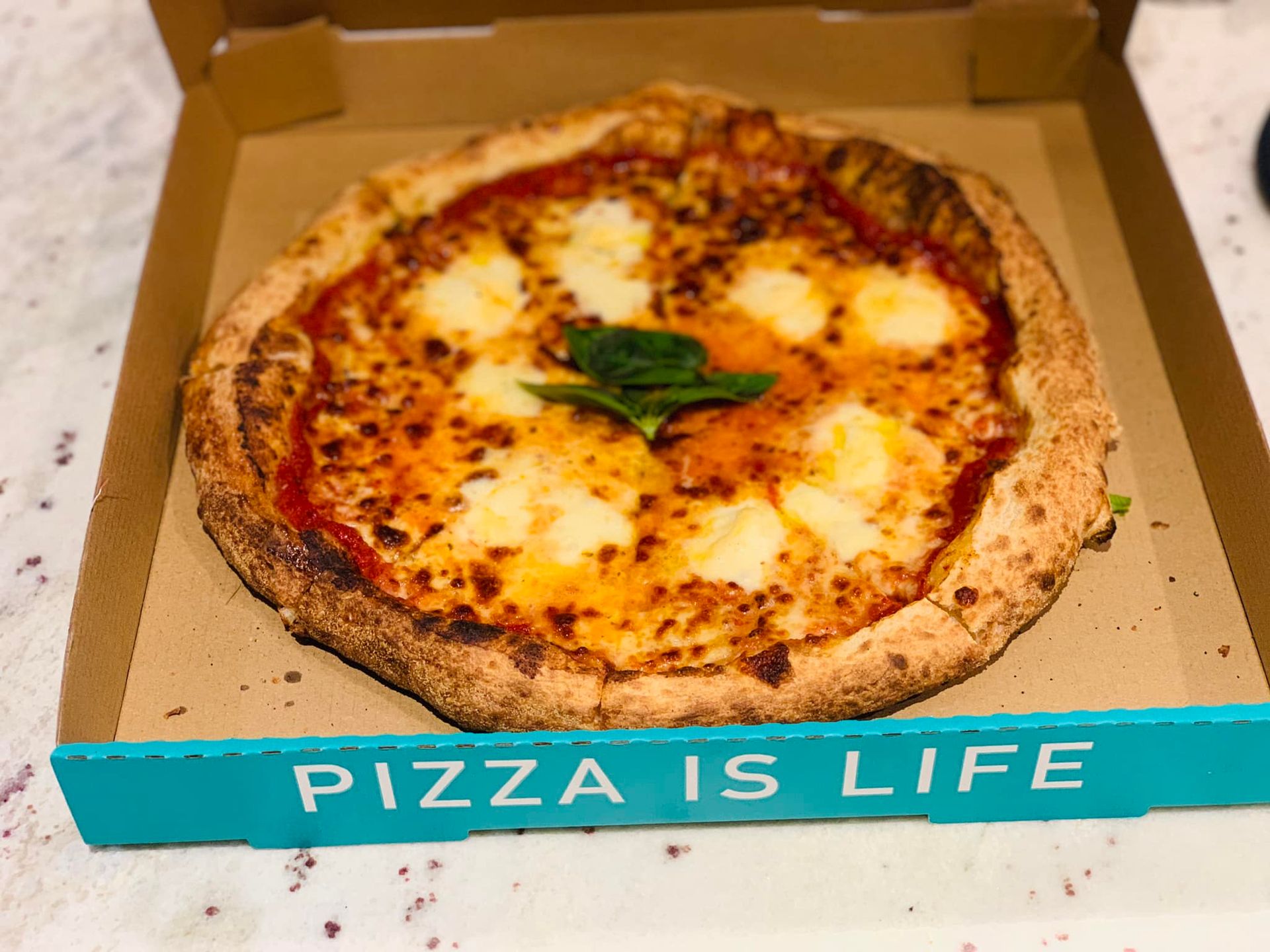 Visual Feast Bella Pasta Casula