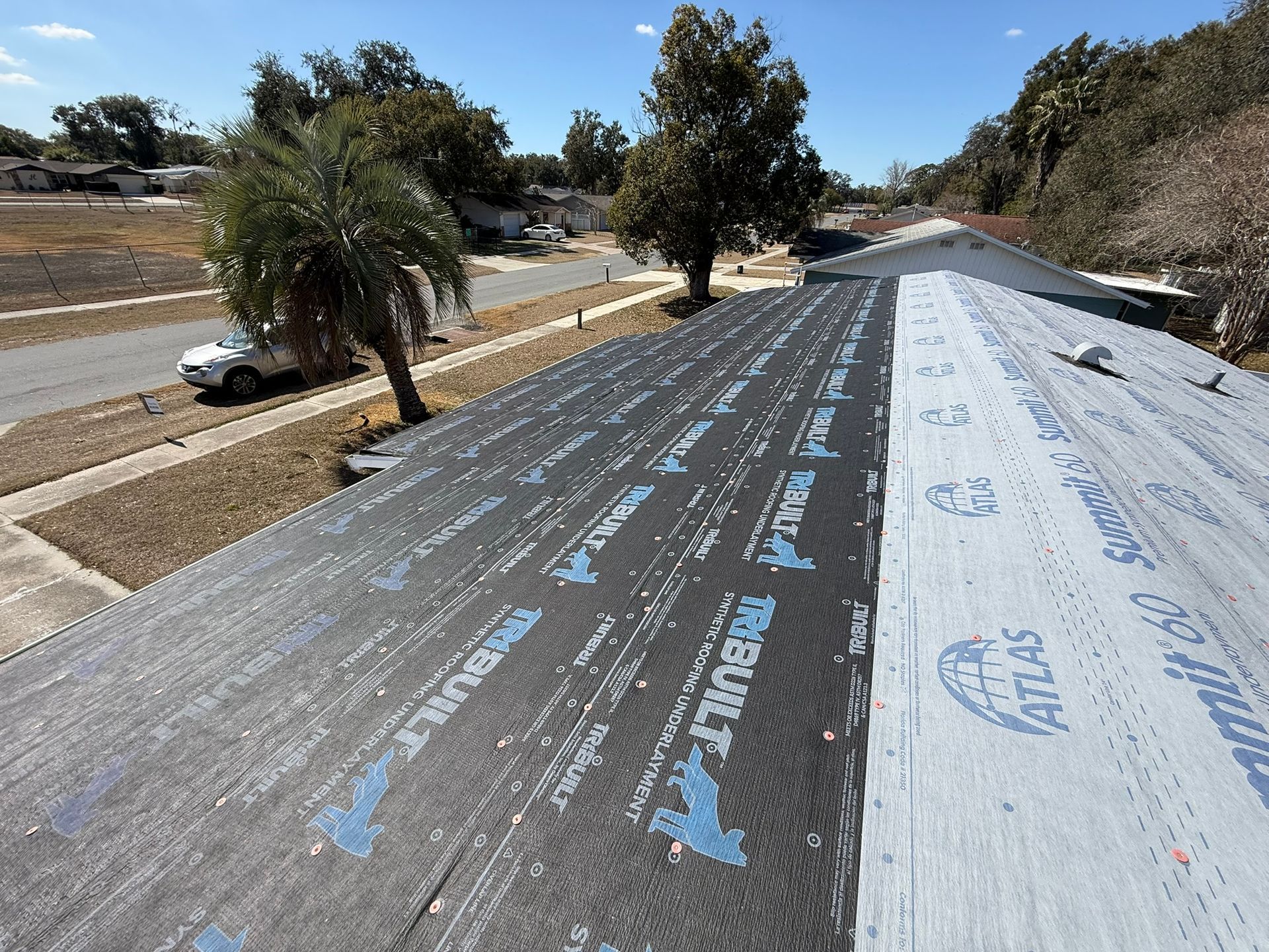Roof Tarp