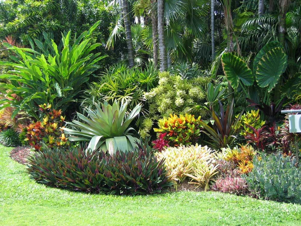 A Lush Green Garden With Lots Of Plants And Trees — Roots, Shoots & Leaves Garden Maintenance In East Corrimal, NSW