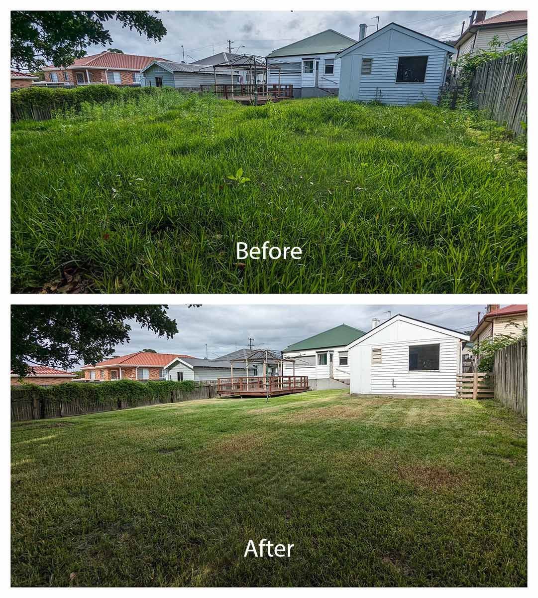 A Before And After Picture Of A Lawn With A House In The Background — Roots, Shoots & Leaves Garden Maintenance In East Corrimal, NSW