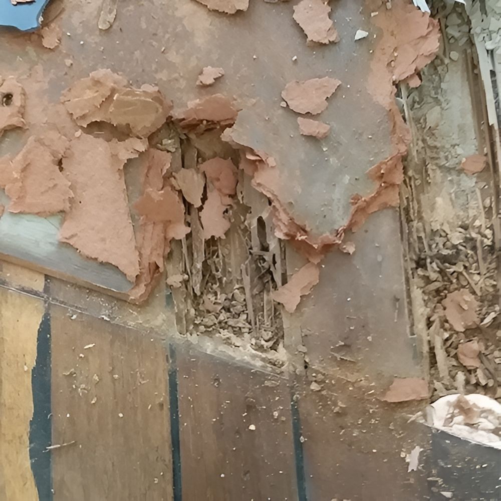 termite inspection being performed on home