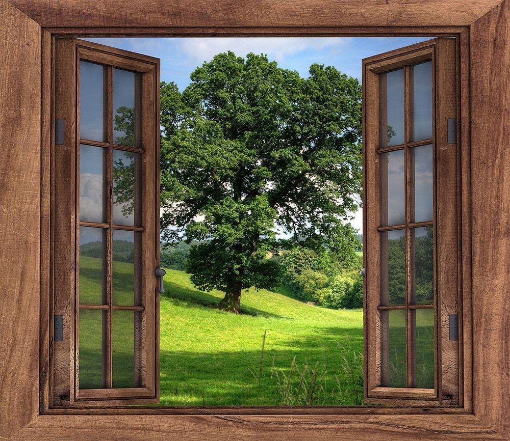 An open window with a tree in the background
