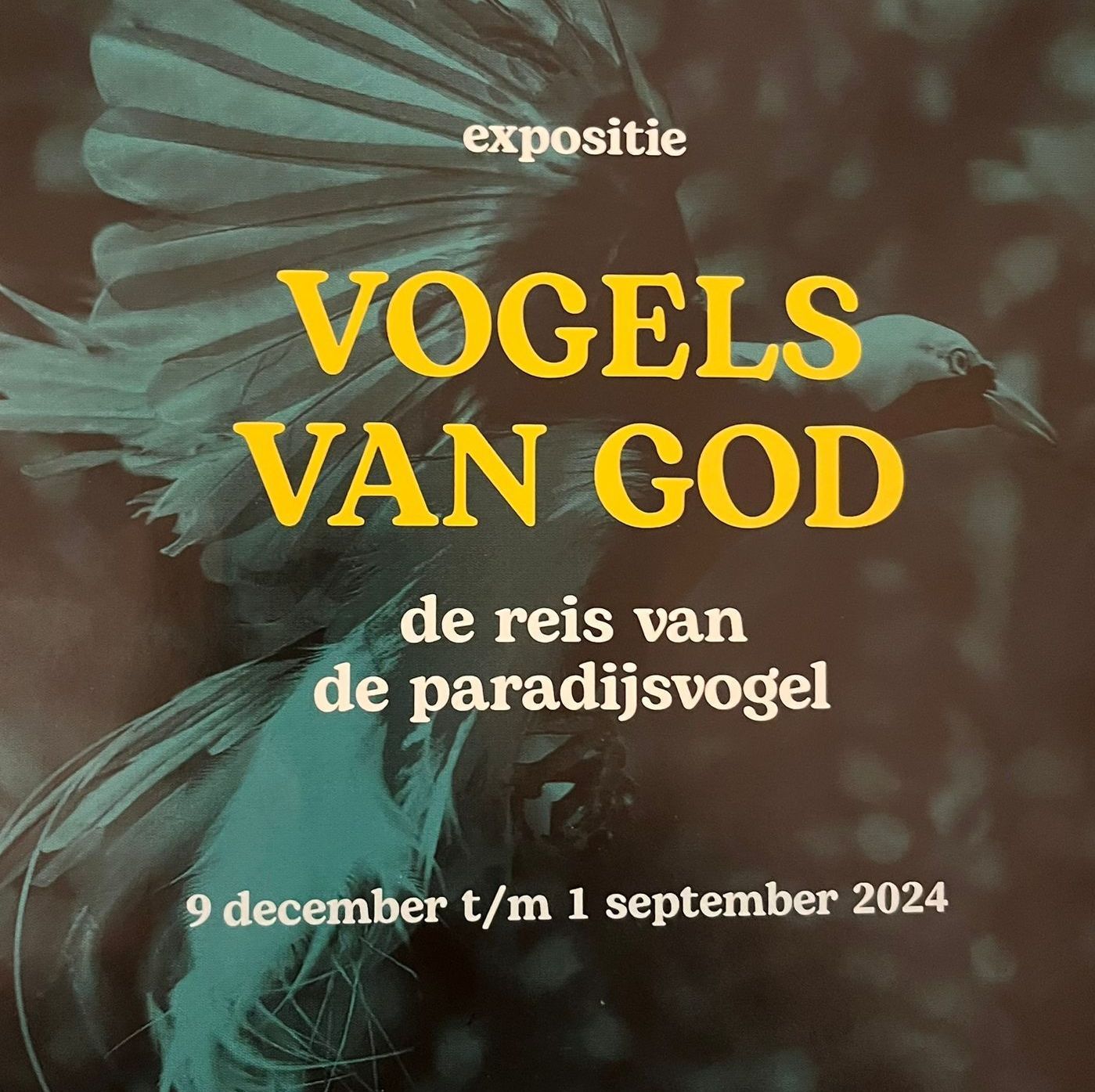 A poster for vogels van god de reis van de paradijsvogel