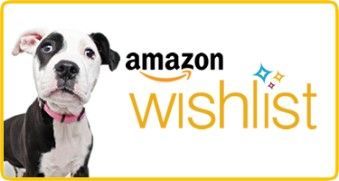 Pit bull dog with