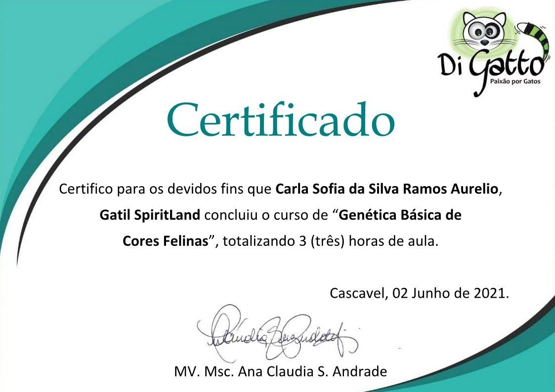 gatil mozziland certificado carla