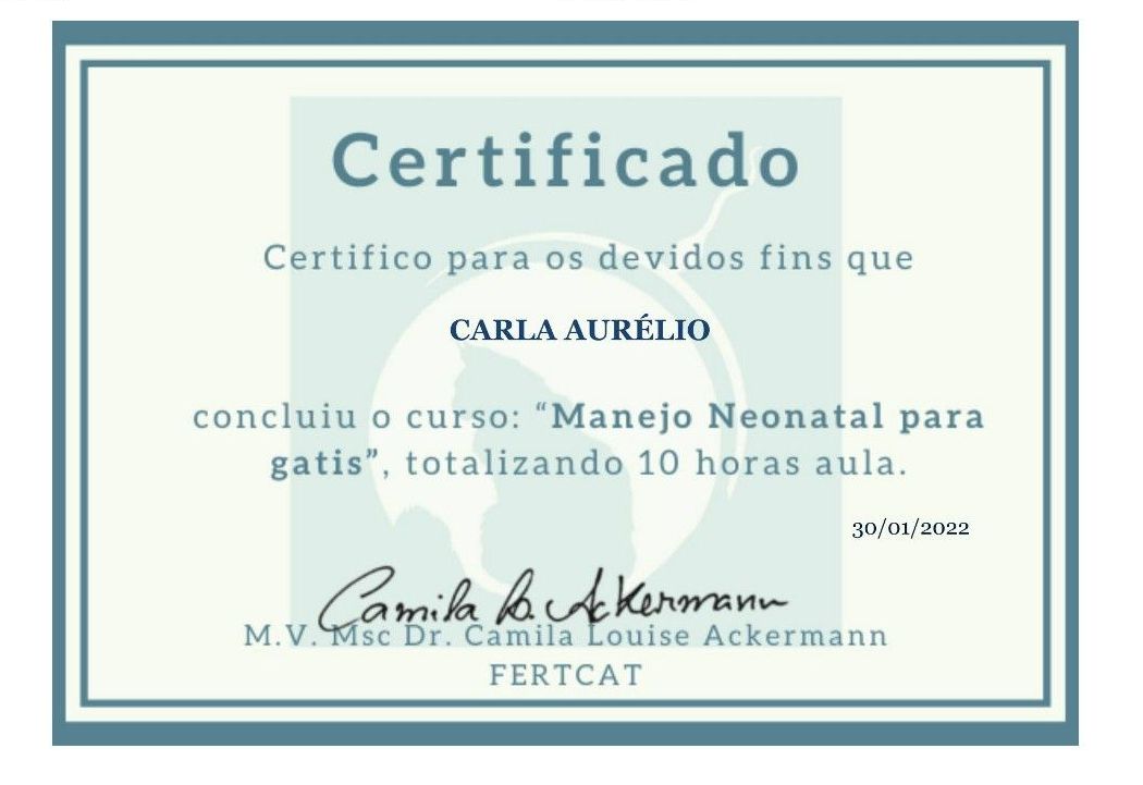 gatil mozziland certificado carla