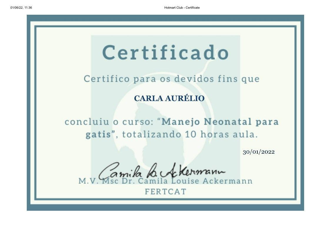 gatil mozziland certificado carla
